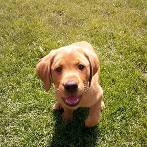 Meet your Posher, Gerard